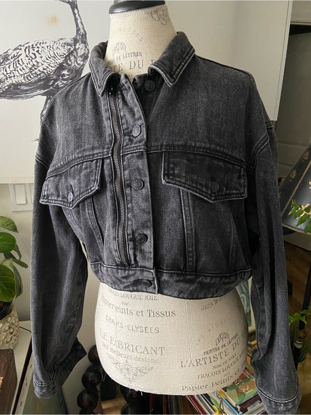 Signatures Faded Black Cropped Denim Jacket